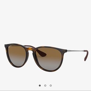 Ray-Ban Erika Classic Tortise Sunglasses